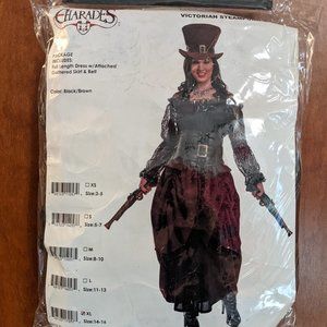 Charades Victorian Steampunk Adult Costume, XL
